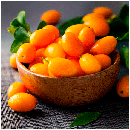 Kumquat Natural flavour Oilsoluble